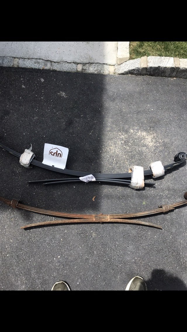 Image-10.jpg