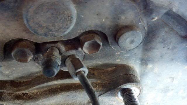 image-14_73481eeda40f5fdaf9875b634b7fd0ee178dbf70.jpg