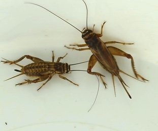 Image 9-22-18 at 4.16 PM.jpg