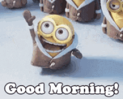 image.gif
