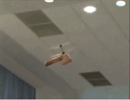 image.gif