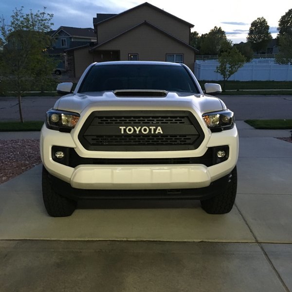 BAMF 3rd Gen Recessed Raptor Style Grille | Page 64 | Tacoma World