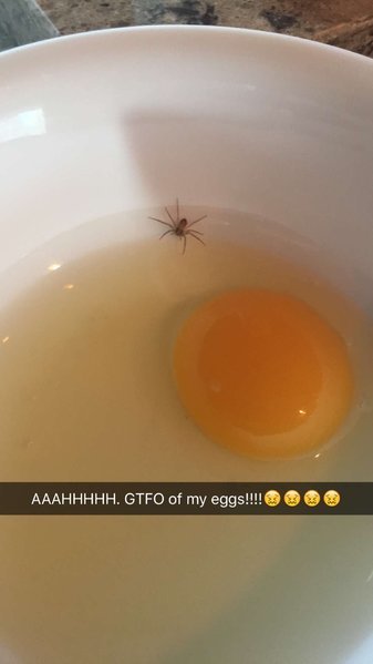 image.jpg