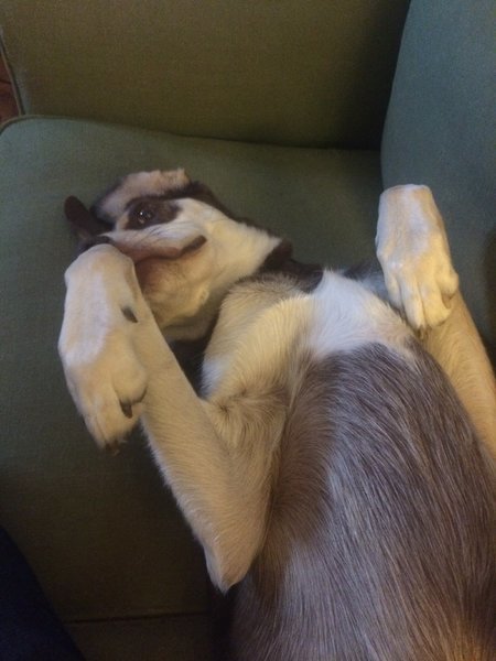 image.jpg