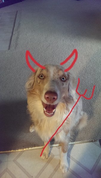 image.jpg