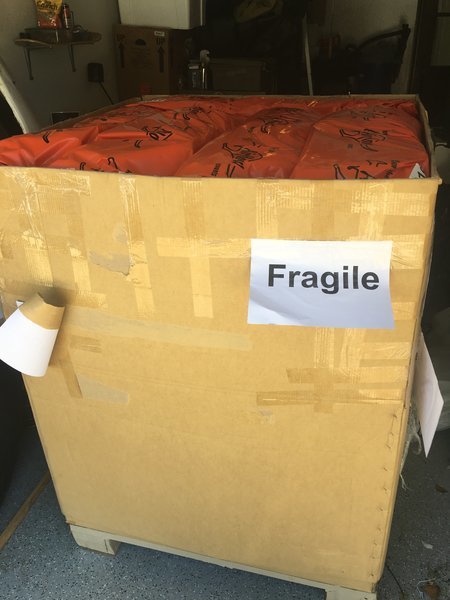 image.jpg