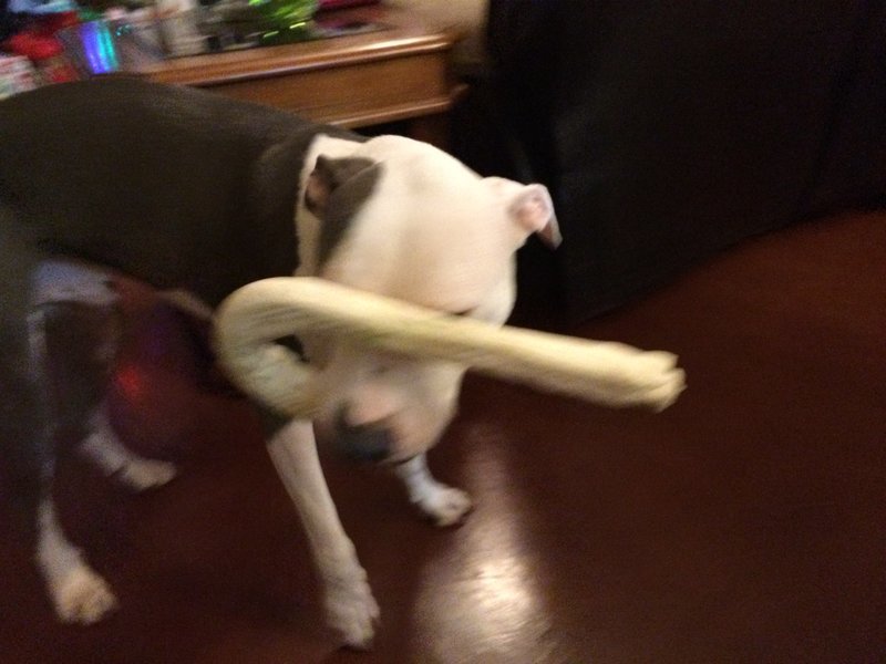 image.jpg
