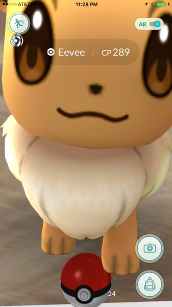 image.jpg
