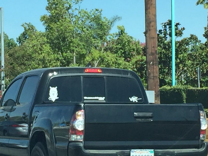 image.jpg