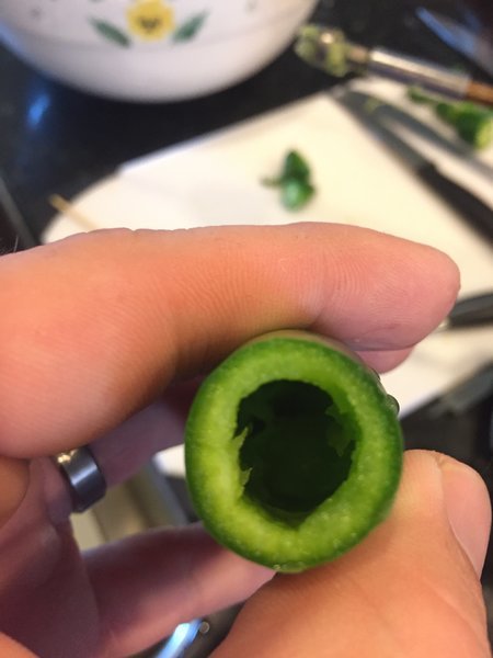 image.jpg