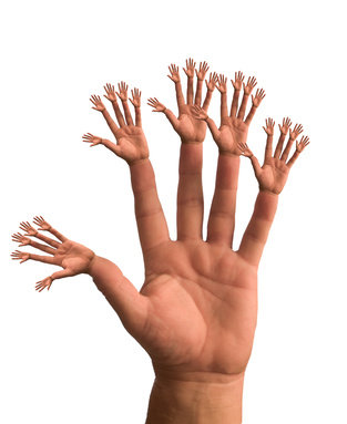 image.jpg
