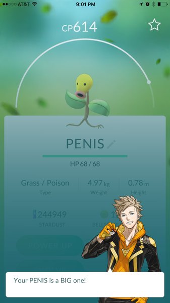 image.jpg