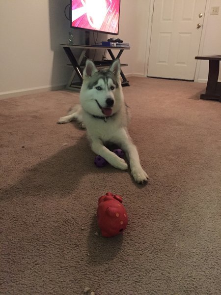 image.jpg
