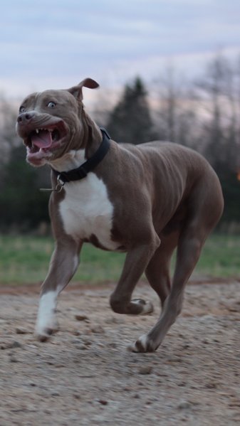 image.jpg