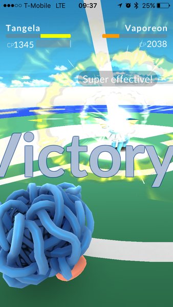 image.jpg