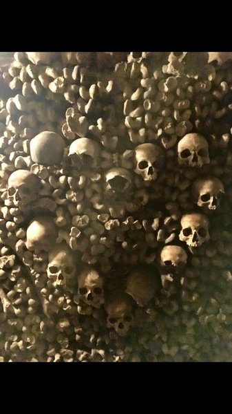 image.jpg