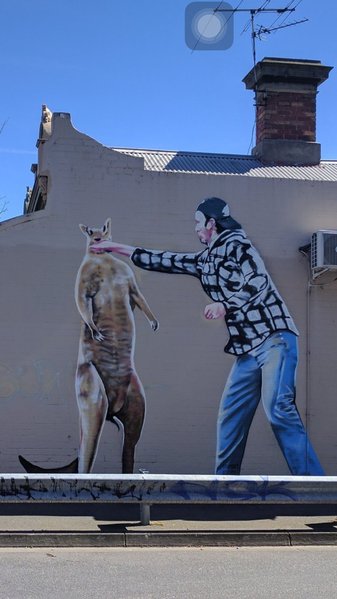 image.jpg