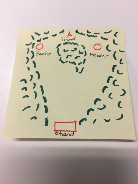 image.jpg