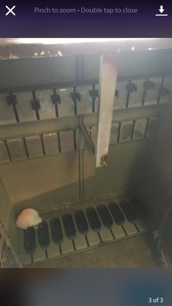 image.jpg
