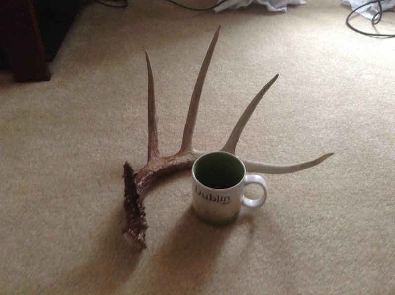 image.jpg