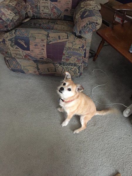 image.jpg