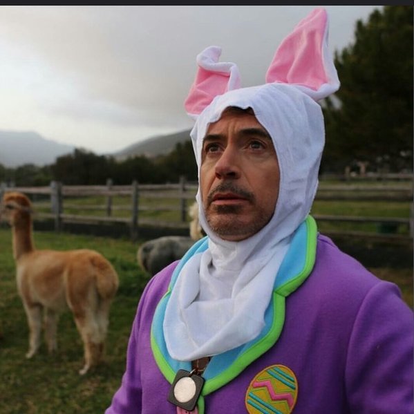 image.jpg