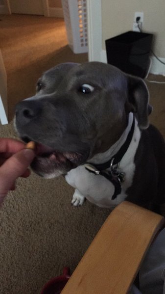 image.jpg