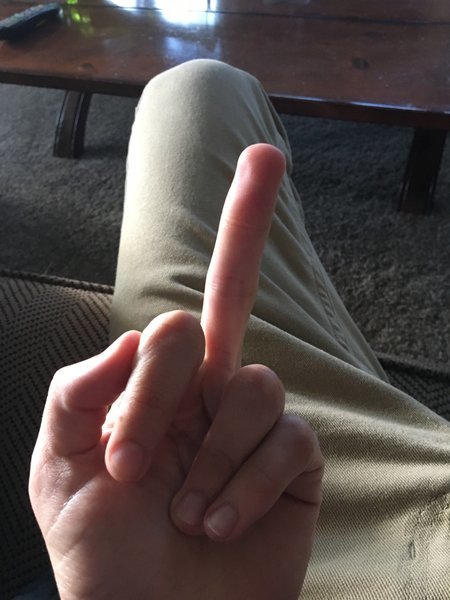 image.jpg