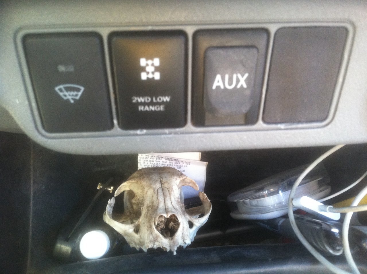 image.jpg
