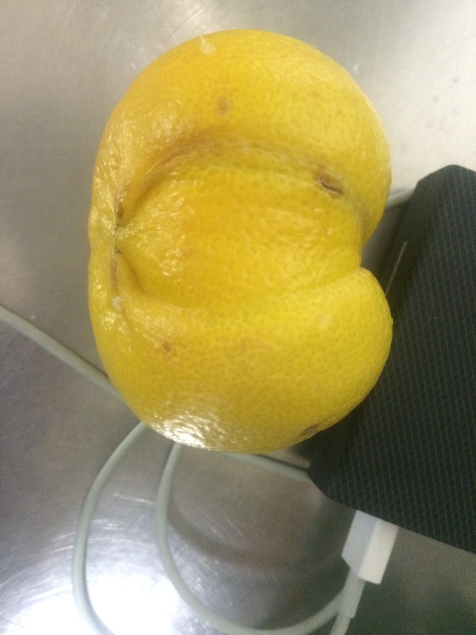 image.jpg