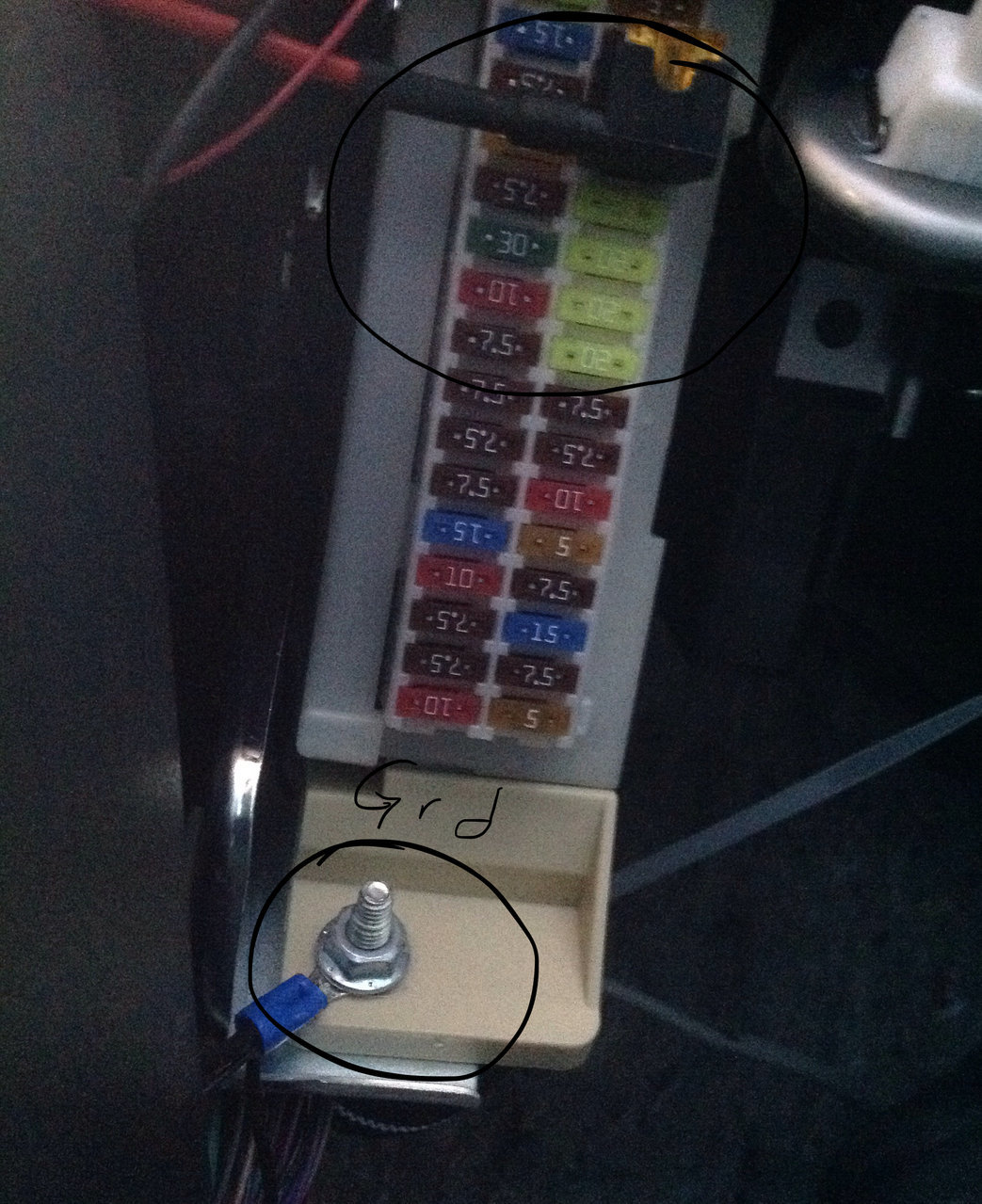 image.jpg