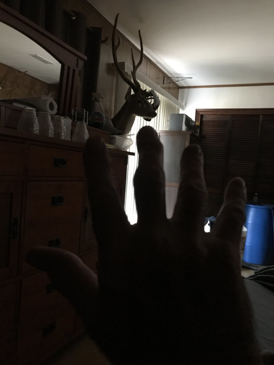 image.jpg