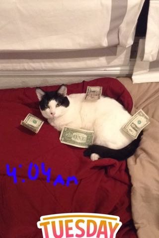 image.jpg