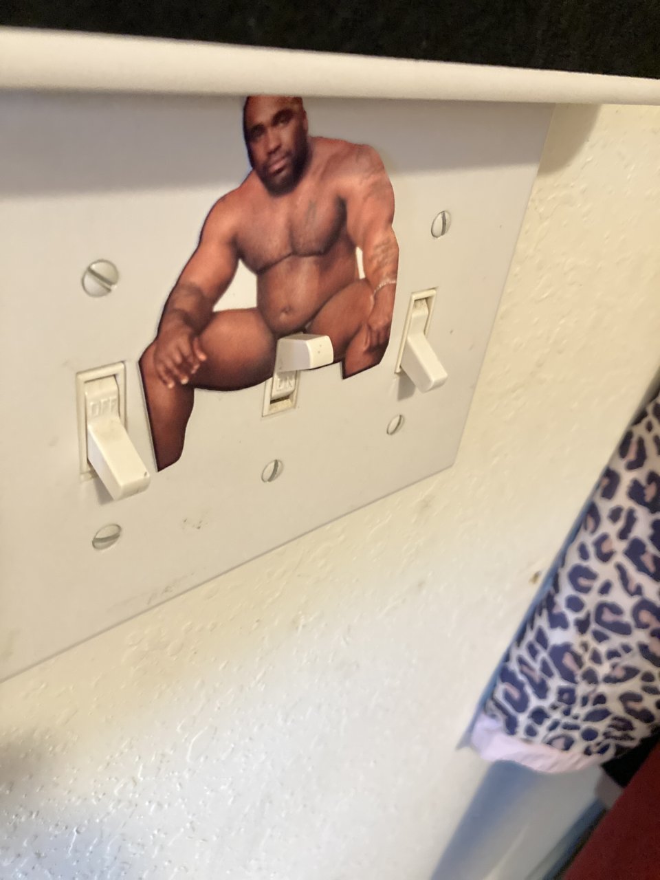 image.jpg