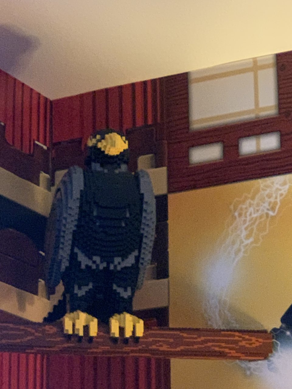 image.jpg
