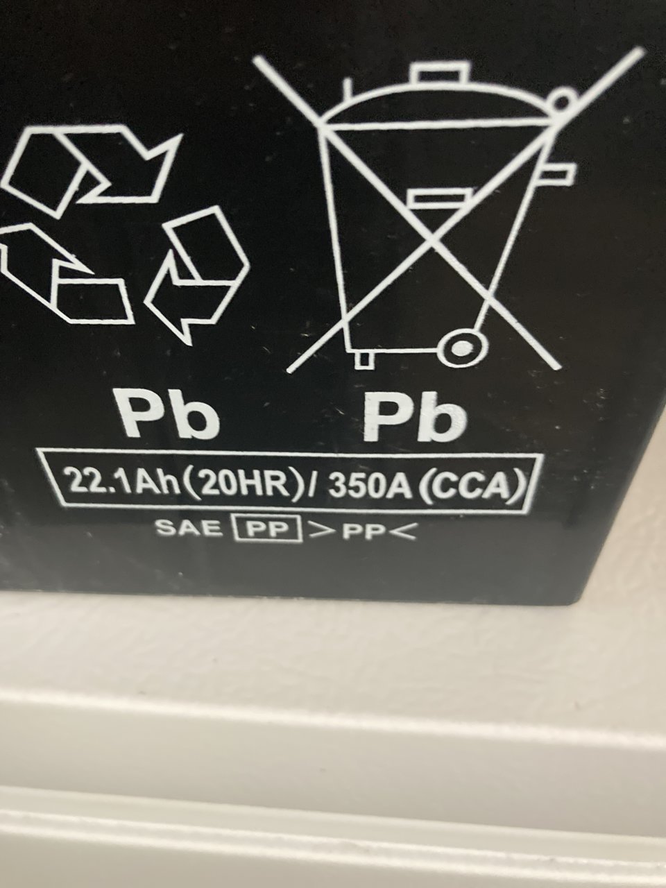 image.jpg
