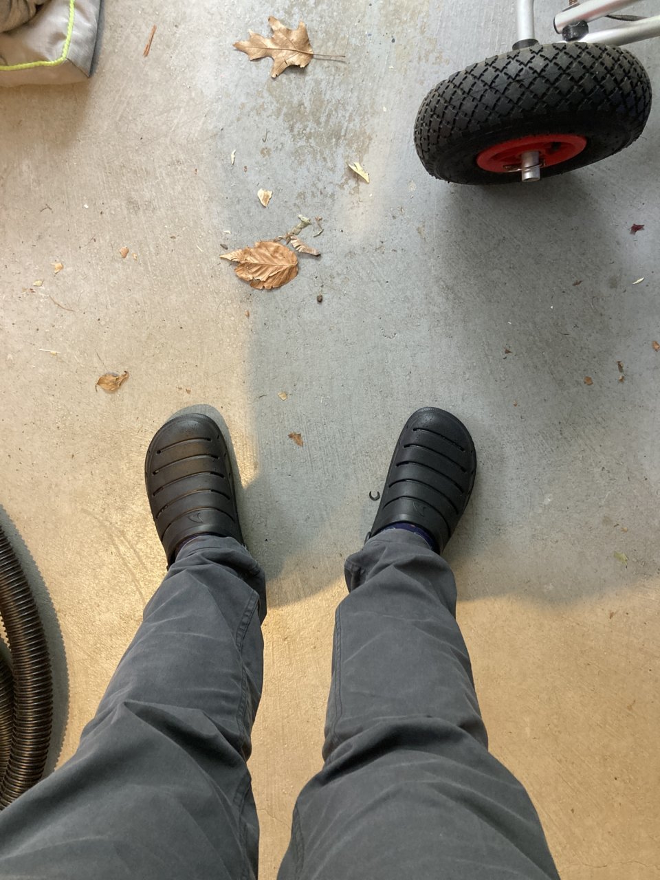 image.jpg