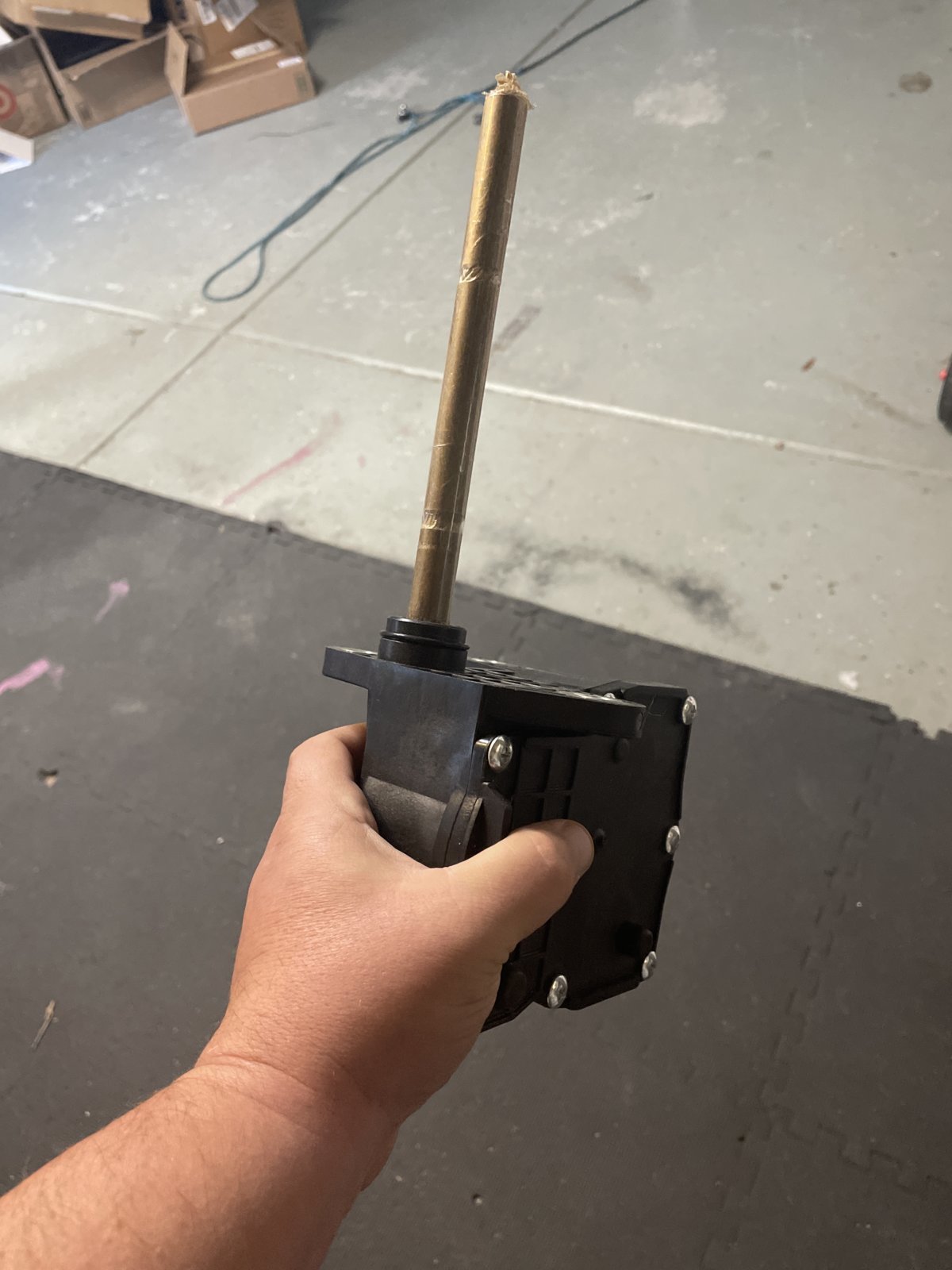 image.jpg