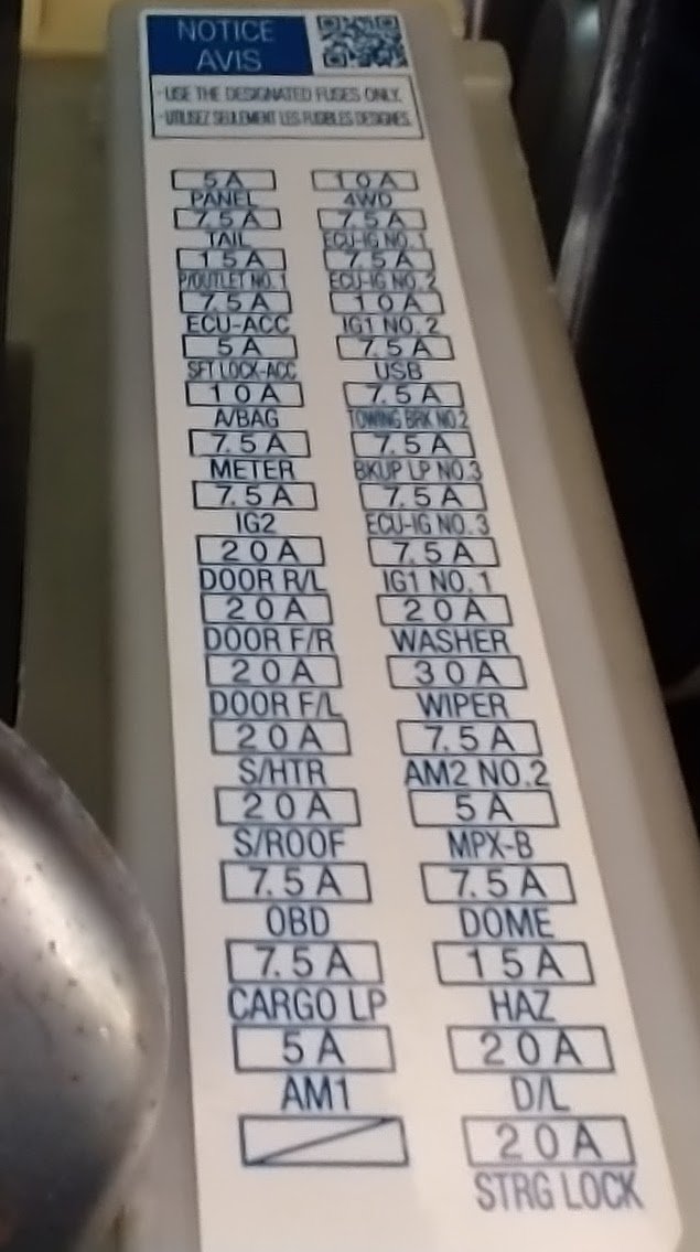 image.jpg