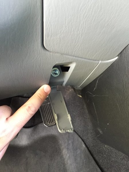 image.jpg