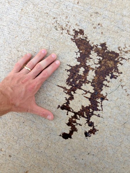 image.jpg