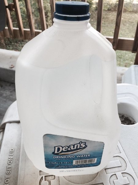 image.jpg