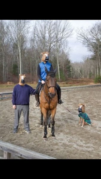 image.jpg