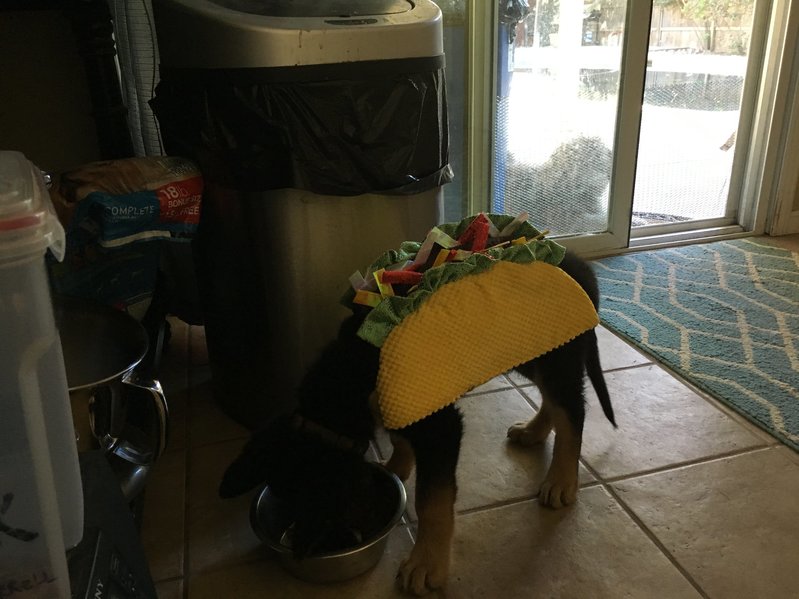 image.jpg