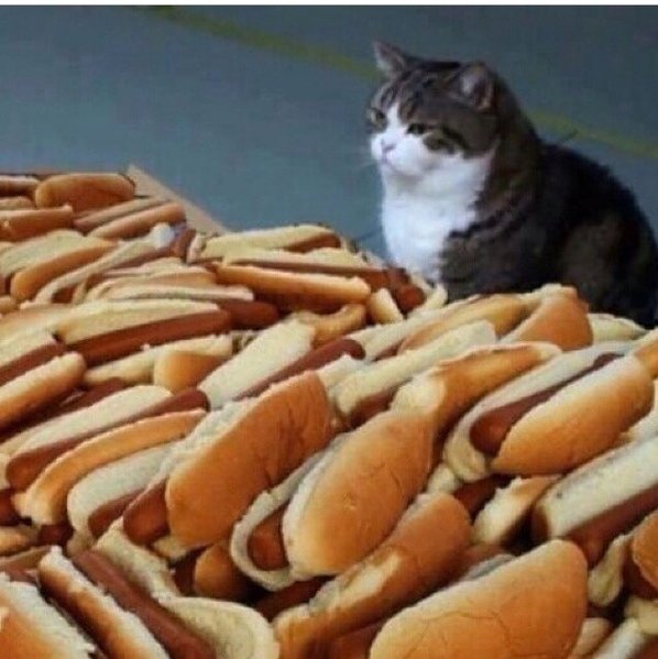 image.jpg