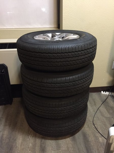 image.jpg