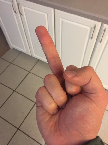 image.jpg