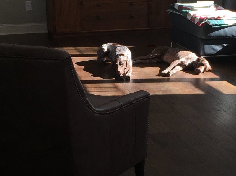 image.jpg