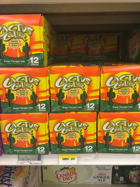 image.jpg