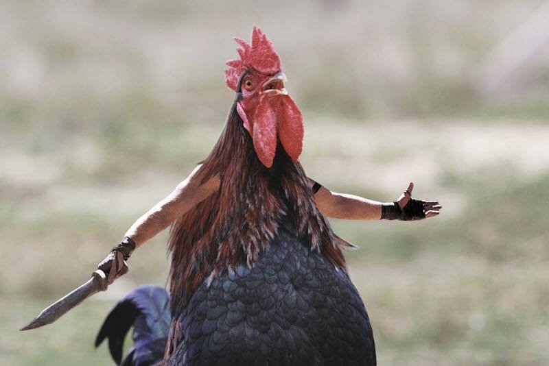 image.jpg